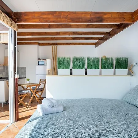 Estudio Paraiso Jover Apartment