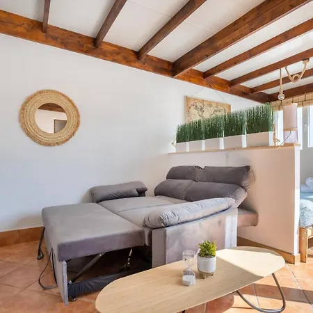 Estudio Paraiso Jover La Laguna (Tenerife)